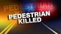 pedestrian hit killed